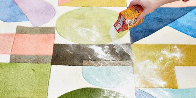 004792200_1543345303-karpetts1